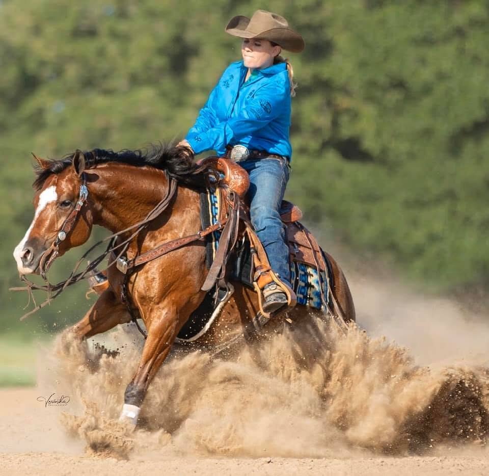 Foundation mares