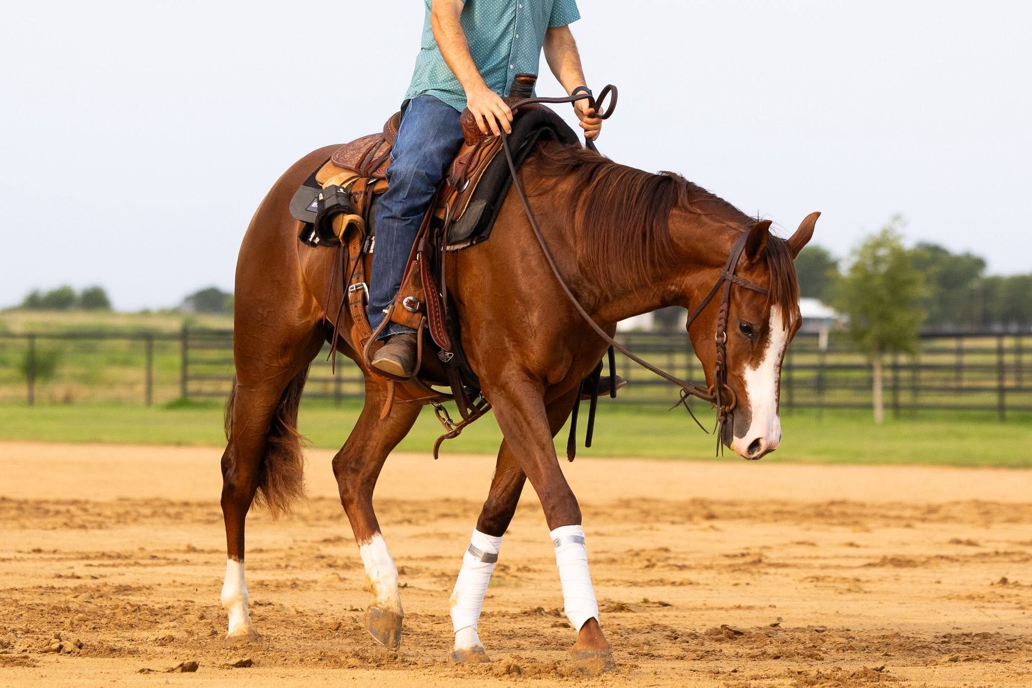RMJ Ranch horse in training